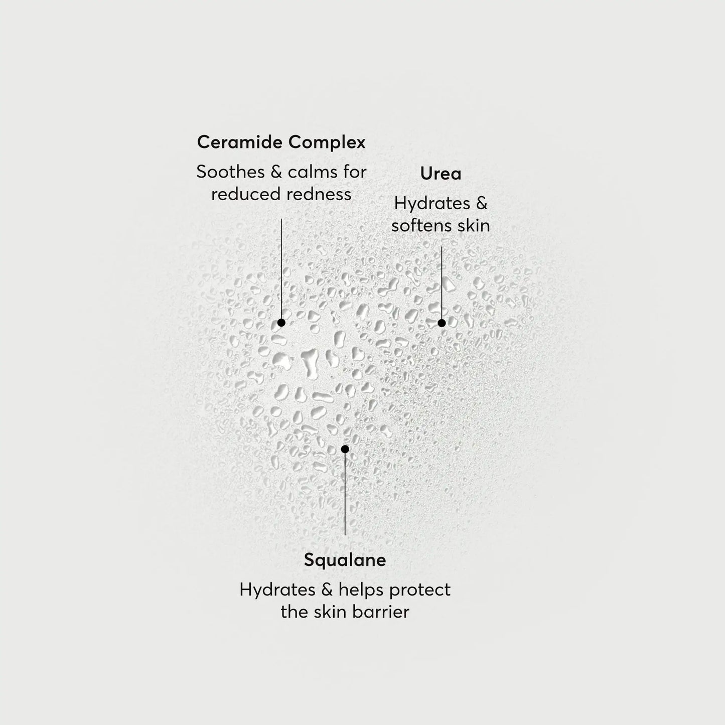 barrier-bounce-bi-phase-mist-i2 NATR-10167-Alt-Images-Barrier-Bounce-Bi-Phase-Toner-Mist_01.webp