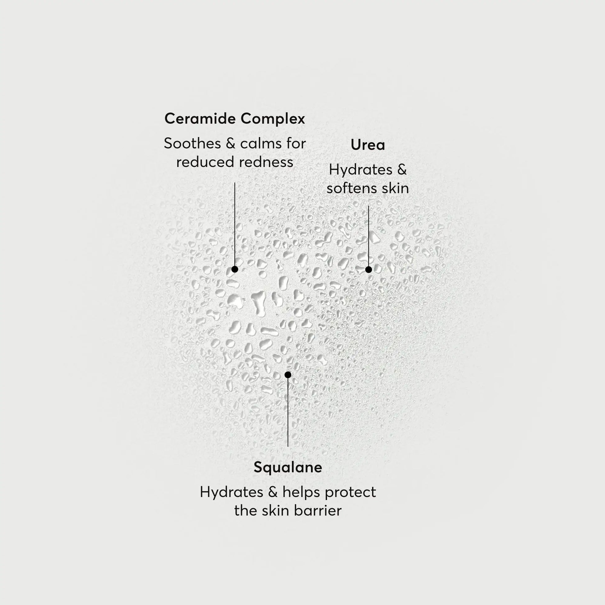 barrier-bounce-bi-phase-mist-i2 NATR-10167-Alt-Images-Barrier-Bounce-Bi-Phase-Toner-Mist_01.webp