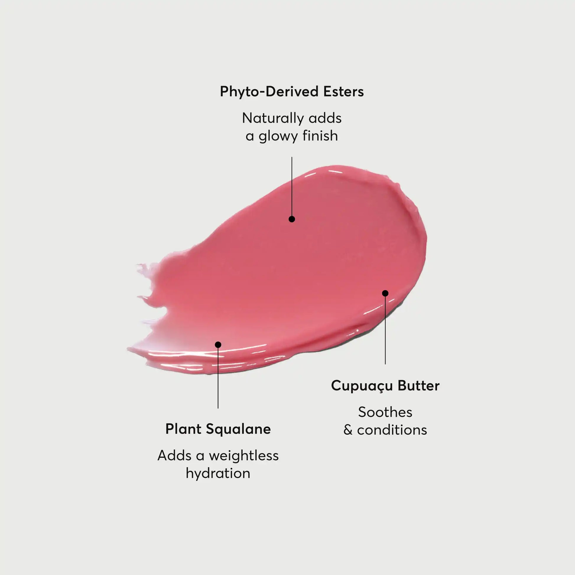 phyto-glow-lip-balm-petal-i4 NATR-60067-Alt-Images-Phyto-Glow-Lip-Balm-Petal-01.webp