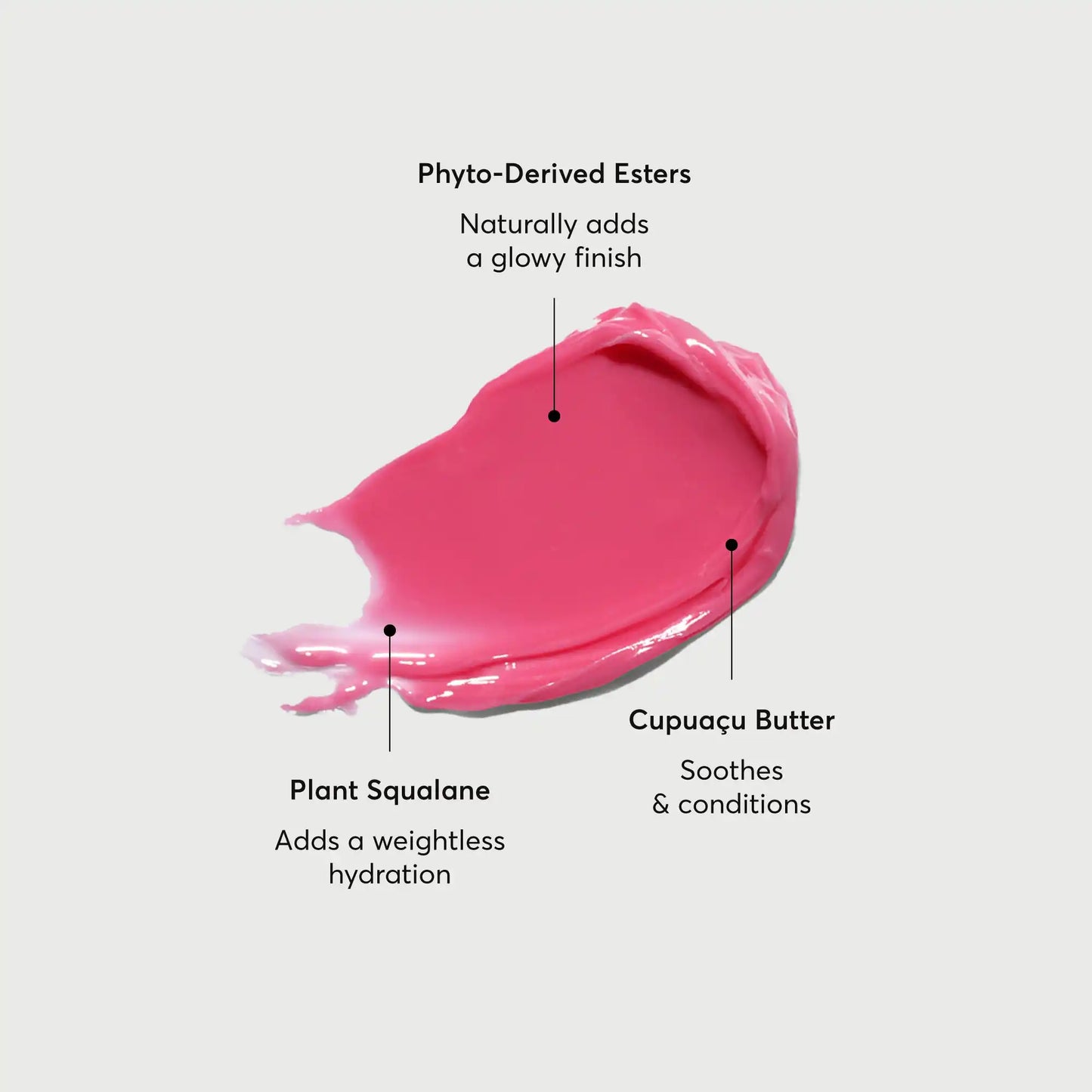 phyto-glow-lip-balm-camellia-x1 NATR-60075-Alt-Images-Phyto-Glow-Lip-Balm-Camellia-01.webp