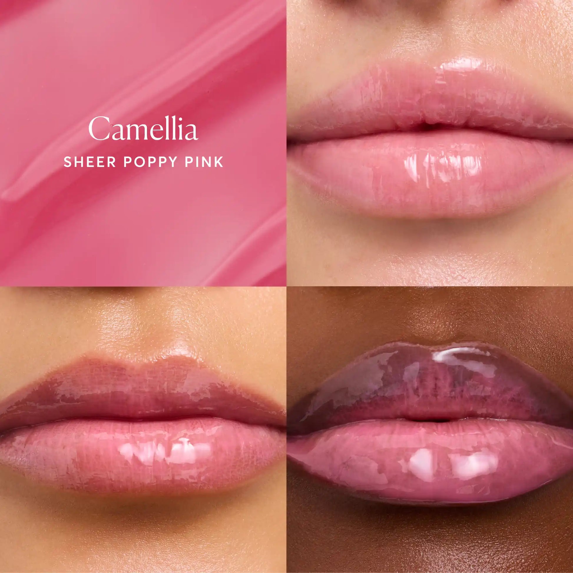 phyto-glow-lip-balm-camellia-x1 NATR-60075-Alt-Images-Phyto-Glow-Lip-Balm-Camellia-05.webp